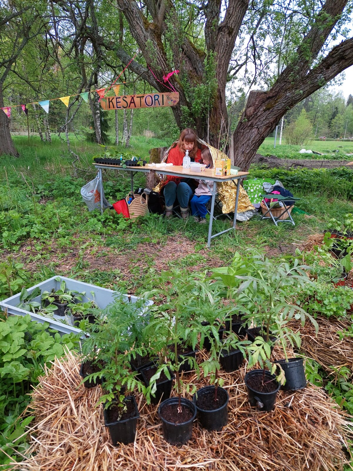 Laajasalo grassroots market on World Bee Day